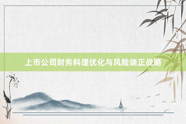 上市公司财务料理优化与风险端正战略